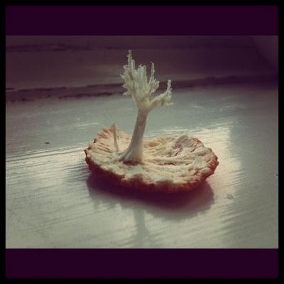 Insolite session!  //