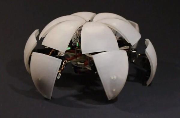 morphex best Morphex : un robot sphérique qui se déplace comme un crabe