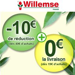 La couronne de Noël