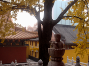 Temple bouddhiste (sans l’épicerie) Wuhan, Chine