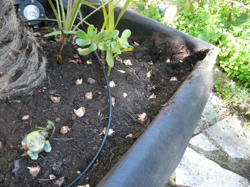 Habillage des extérieurs : journaux des 9 et 16 décembre 2011