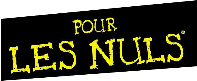 17 livres « Pour les Nuls » sont en promo à 0,79€