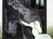 nouvelle fille maison