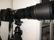 Test l’objectif Nikkor 200-400mm