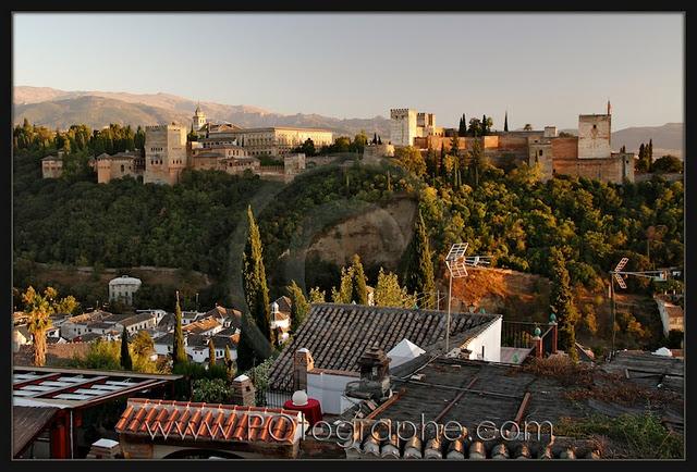 L'Alhambra de Grenade