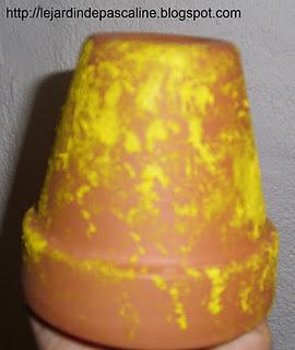 Pot de fleurs décorés