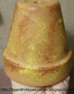 Pot de fleurs décorés