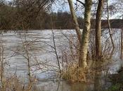 Moselle après Joachim