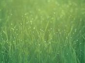 Téléchargez fonds d'écran iPhone/iPad disponibles avant sortie...