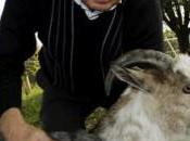 Dommage: l’UDC reste gouvernement