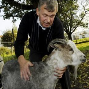 Dommage: l’UDC reste au gouvernement