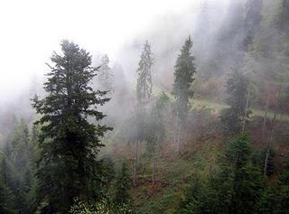 Au cœur de notre nuit avec Joshin Luce Bachoux