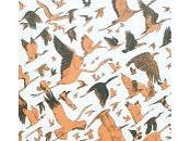 oiseaux (calendrier l'avent