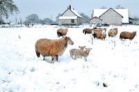 La Photo du dimanche #25 ! Les coups de coeur de....