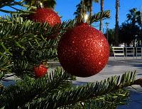 La Photo du dimanche #25 ! Les coups de coeur de....