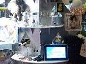 Semaine Noël 2011 ouverture boutique livraisons