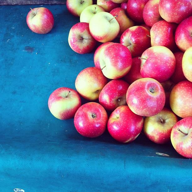 Ma semaine en Instagram (7)