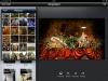 IMG_2450 IMG_2450