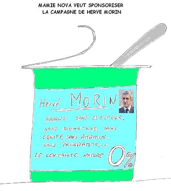 CANDIDATURE-HERVE-MORIN-2.jpg