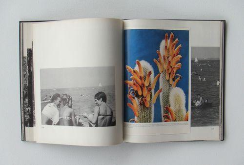 The infinite library2