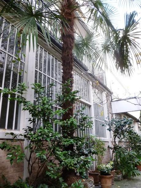 Impasse verdoyante A St Germain des Prés… la vie d’artiste