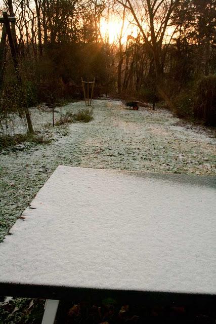 7 jours - 7 photos - 7 days