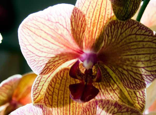 7 jours - 7 photos - 7 days