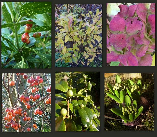 Absente ces derniers temps  pour cause...d'un petit ...