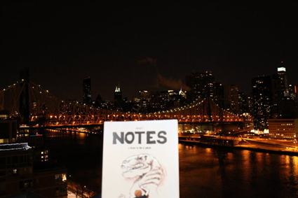 Notes sur Roosevelt Island