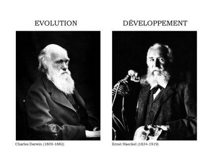 Charles Darwin, Ernst Haeckel