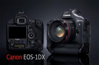 Reflex : Canon EOS 1DX vu par les pro
