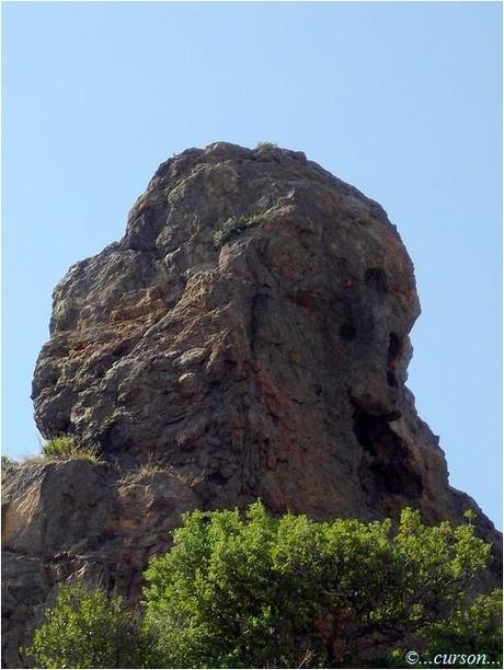 monstre.jpg