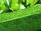 bûche Noël revisitée