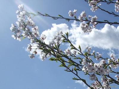 Bilan 2011 - 1e partie : challenge nuancier