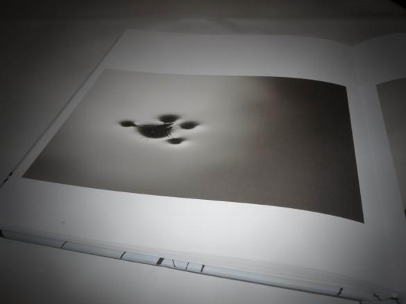 Vincent Munier Au fil des songes 2 585x438 [Jai testé pour vous] Au fil des Songes de Vincent Munier