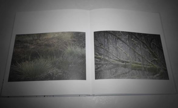 Vincent Munier Au fil des songes 1 585x356 [Jai testé pour vous] Au fil des Songes de Vincent Munier