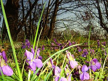 De la spontanéité.