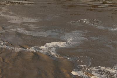 La Moselle par dessus bord