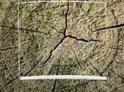 interrupteurs, éléments décoration Oui, avec iDzif.com