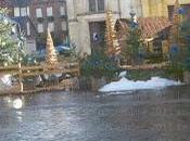 Collectionnite aigue sapin noèil Bernay...