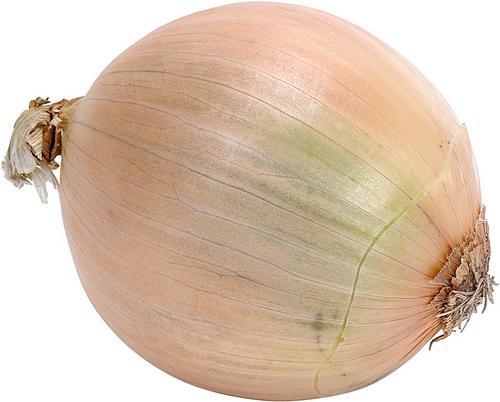 L'oignon contre la toux