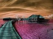 Pépites pour simplifier quotidien numéro