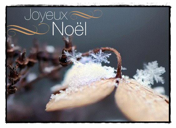 Un cadeau pour vous... Noël 2011