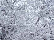 Manège (#13 Silhouettes) Yiannis Lhermet