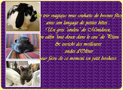 Joyeuses fêtes !
