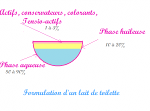 Comment faire un lait de toilette ?