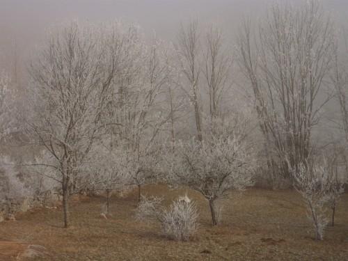 Noël, poésie, campagne, neige, nature, promenade, rêve,blog littéraire de christian cottet-emard,nativité,douce nuit,joseph est bien marié