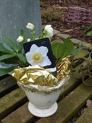 Bonnes Fêtes à vous,Merci à tous pour vos passages, votre...