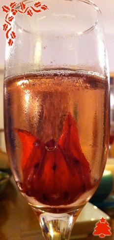 champagne noel hibiscus