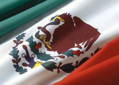 Mexico_flag_lot.jpg